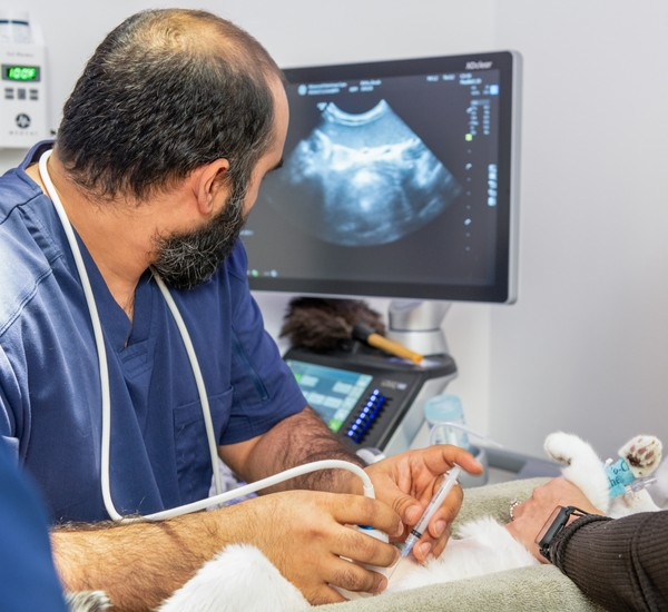 In-House Diagnostics